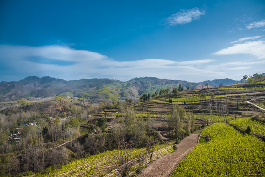 山水风景图