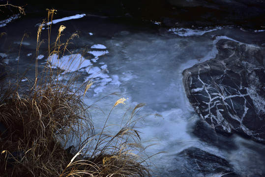 枯草生长在冰河边