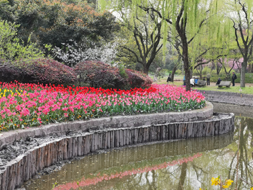 鲜花背景墙