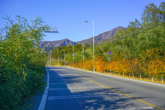 乡村公路高清大图