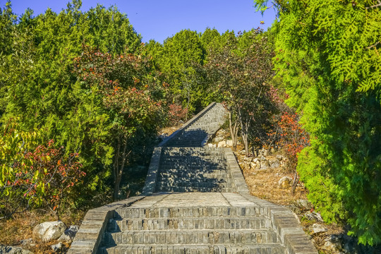 登山步道高清大图