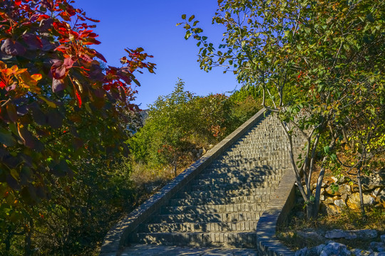 登山步道高清大图