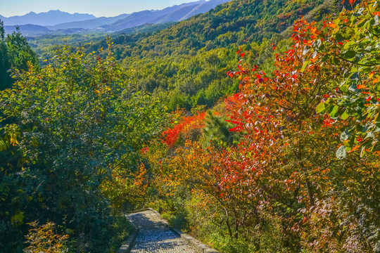 登山步道高清大图