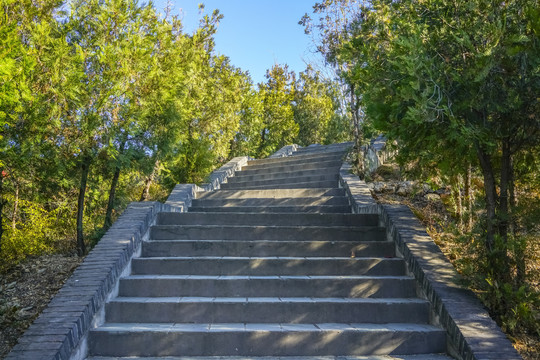 登山步道高清大图