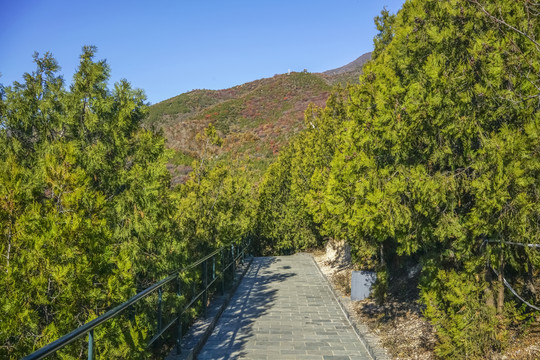 登山步道高清大图