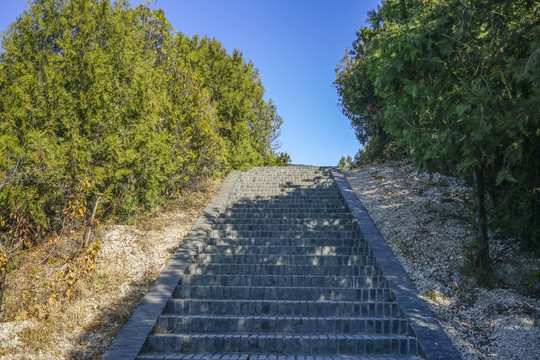 登山步道高清大图