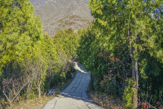 登山步道高清大图