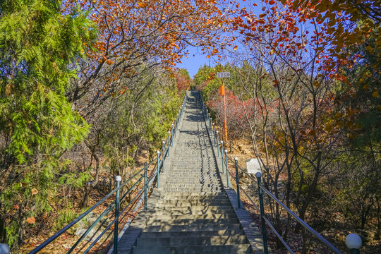 登山步道高清大图