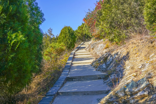 登山步道高清大图