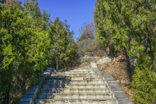 登山步道高清大图