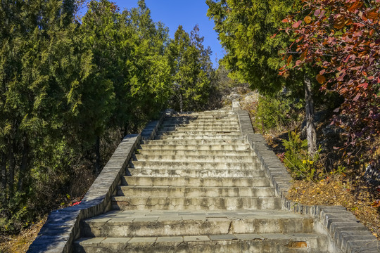 登山步道高清大图