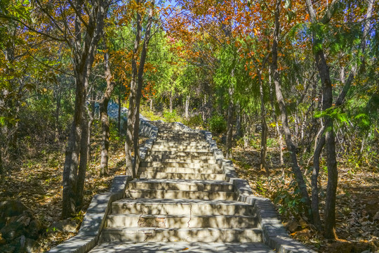 登山步道高清大图