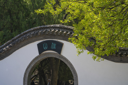 圆门绿树