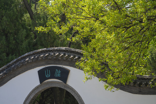 圆门绿树