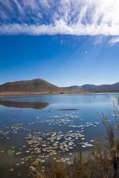 南非美丽宁静的自然风光