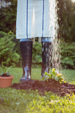 给花园里的植物浇水的女人