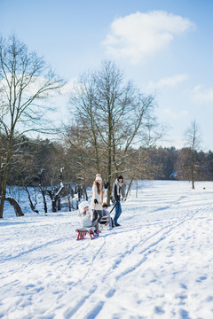 一家人在雪天玩雪橇