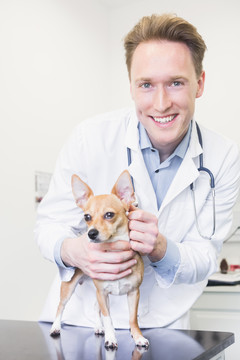 兽医检查狗的耳朵