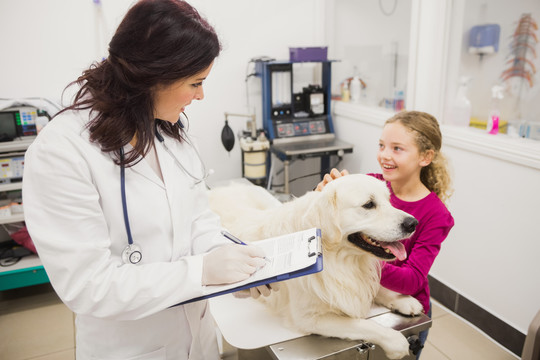 兽医检查时抱着她的宠物狗的女孩
