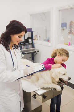 兽医检查时抱着她的宠物狗的女孩