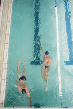 游泳运动员在游泳池里做仰泳