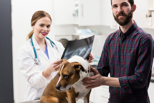 兽医与狗和主人的X光照片