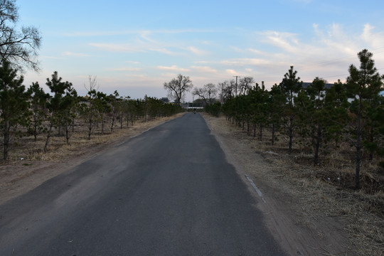 乡村道路