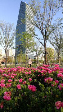 杜鹃花盛开的市民公园