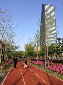 杜鹃花盛开季节的市民公园