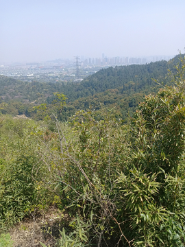 山头