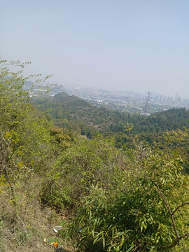 山头
