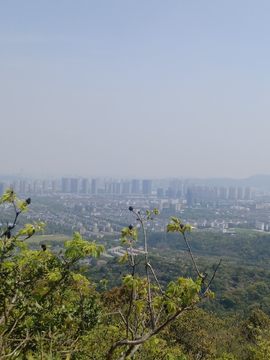 城市