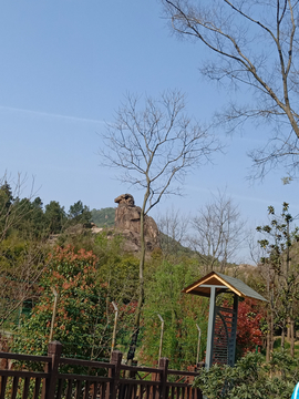 山头