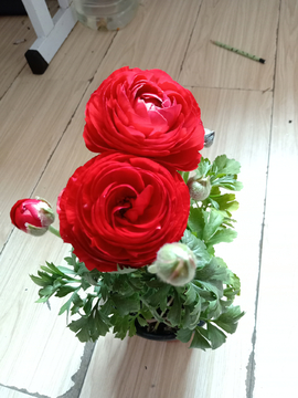 红花