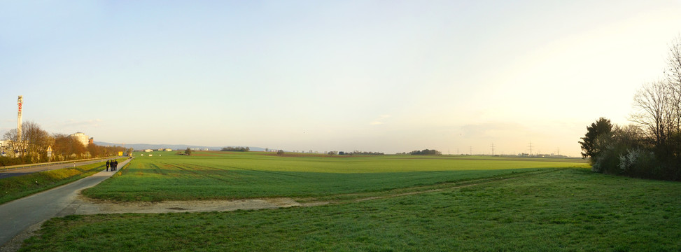 欧洲原野的清晨全景图