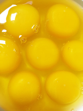 蛋黄背景