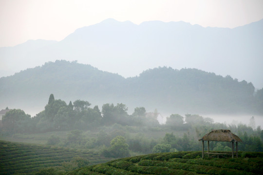 山村田野