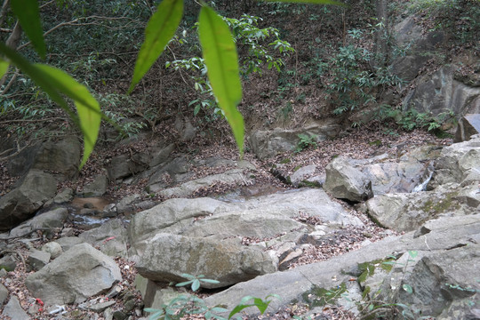 圭峰山山泉水