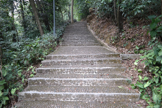 圭峰山散步台阶