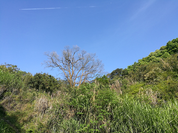 清凉山风景