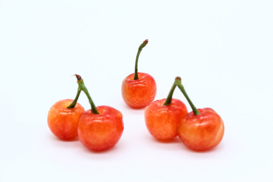 樱桃