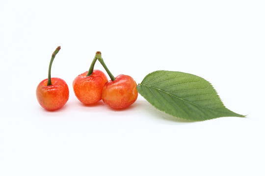 樱桃