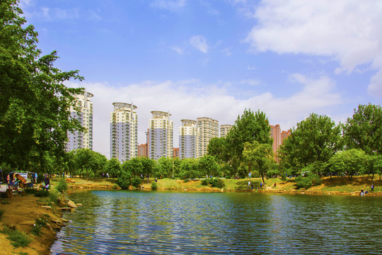 孟泰公园湖水树与高层建筑
