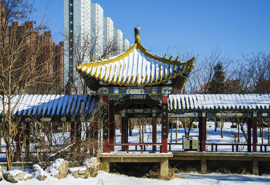 鞍山孟泰公园长廊凉亭雪景