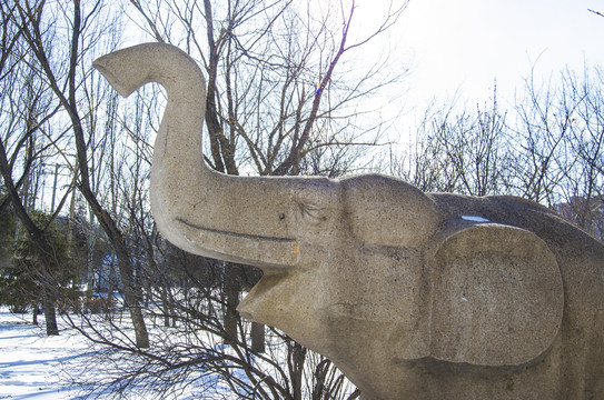 鞍山孟泰公园大象头部石雕像雪景