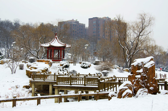 鞍山孟泰公园孤岛凉亭石桥雪景