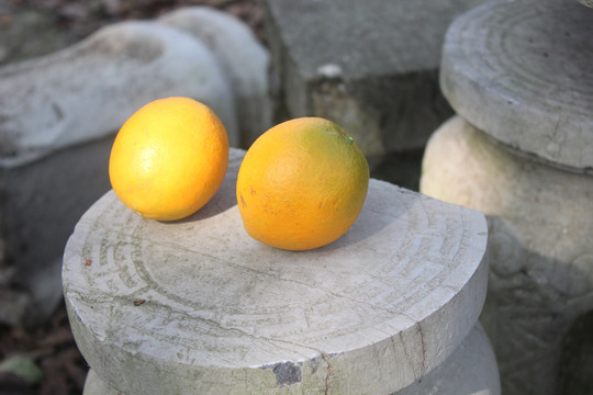 橘子橙子水果摄影外景