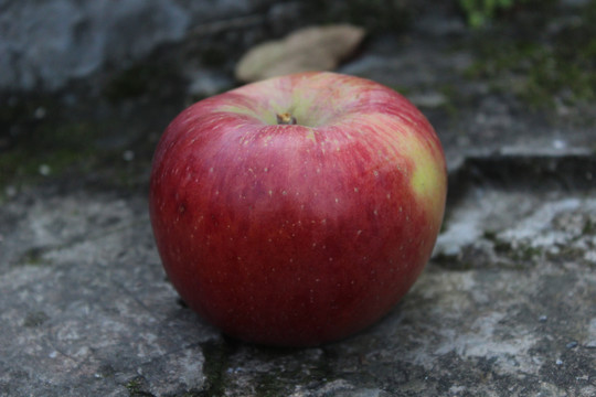 丑苹果红苹果水果