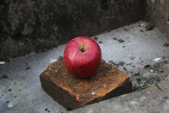 丑苹果红苹果自然外景水果