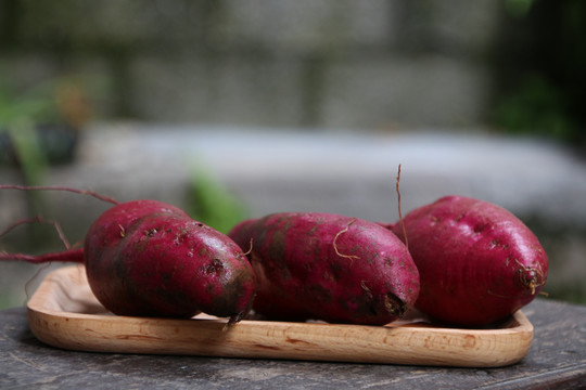 红薯紫薯相机拍摄杂粮